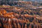 Sunrise at Bryce Canyon National Park, Utah Art Print
